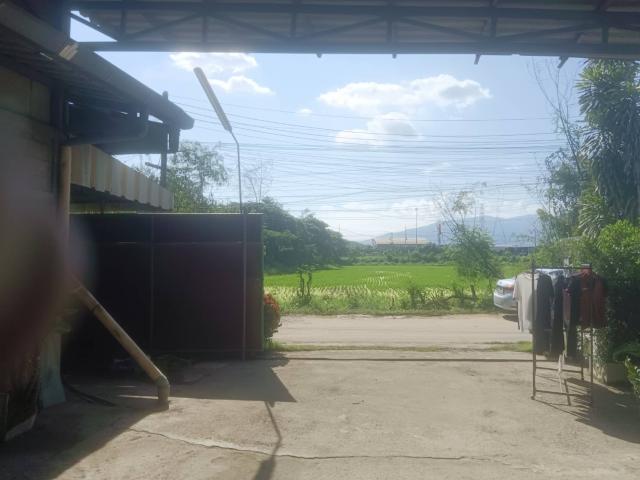 ����ç�ҹ ���ͧ��§������§����