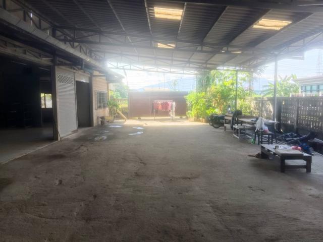 ����ç�ҹ ���ͧ��§������§����