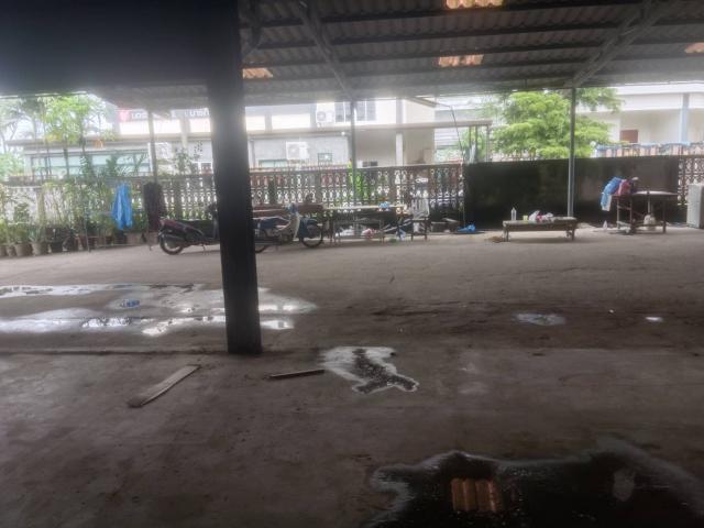 ����ç�ҹ ���ͧ��§������§����