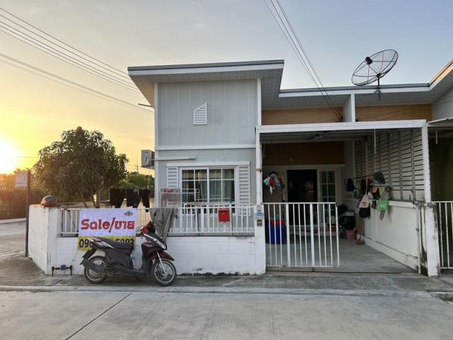 ��ǹ���������ѧ��� �ź���