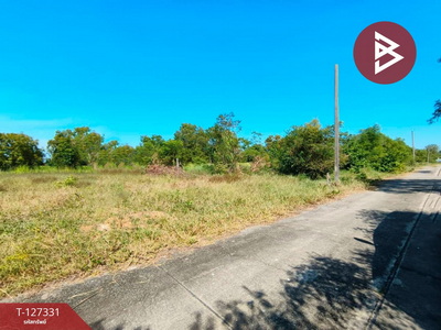 ��·��Թ ˹ͧ�͡��ا෾