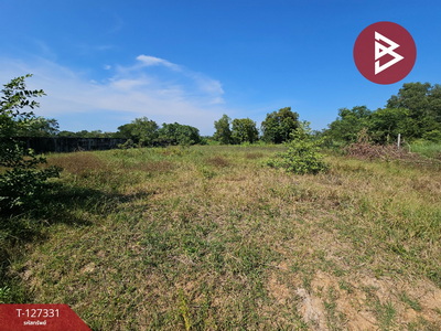 ��·��Թ ˹ͧ�͡��ا෾