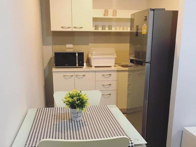 �͹������������� ��§����