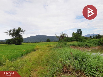 ���Թ�صôԵ�� �صôԵ��