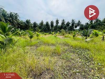 �����ط�ʧ���� �� The Best Property Agent