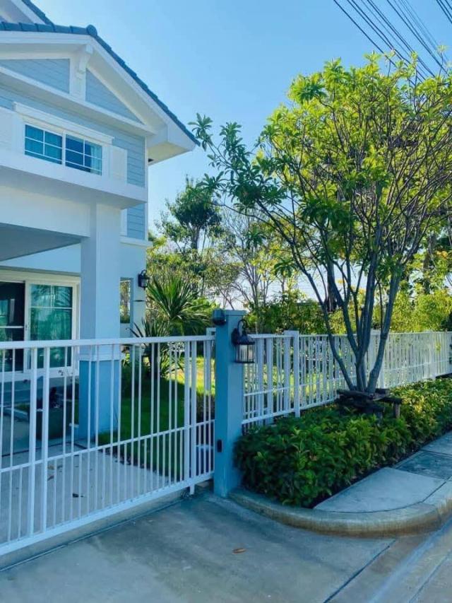 ��º�ҹ �ҧ�����طû�ҡ��