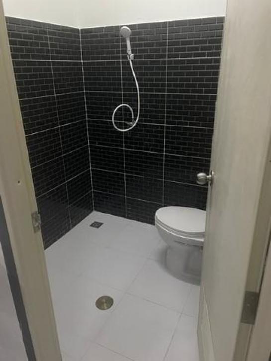 ⡴ѧ������ ������