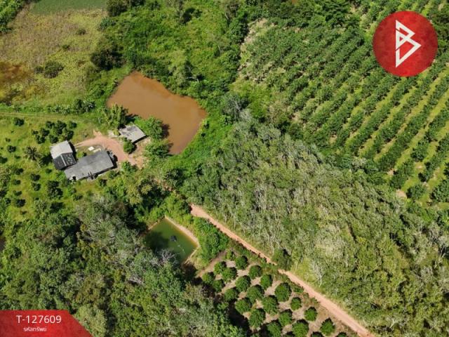 ��·��Թ ����ԧ��Ҵ