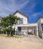 ��ҹ������ 115,000 �ҷ/��͹