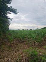 ���Թ��������� ����Ҫ����