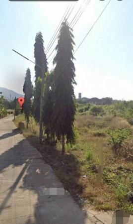 ���Թ ��� ����Ѻ��١��ҹ