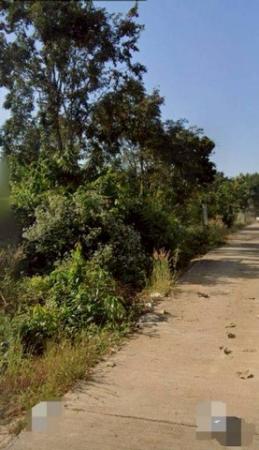 ���Թ ��� ¡�ŧ