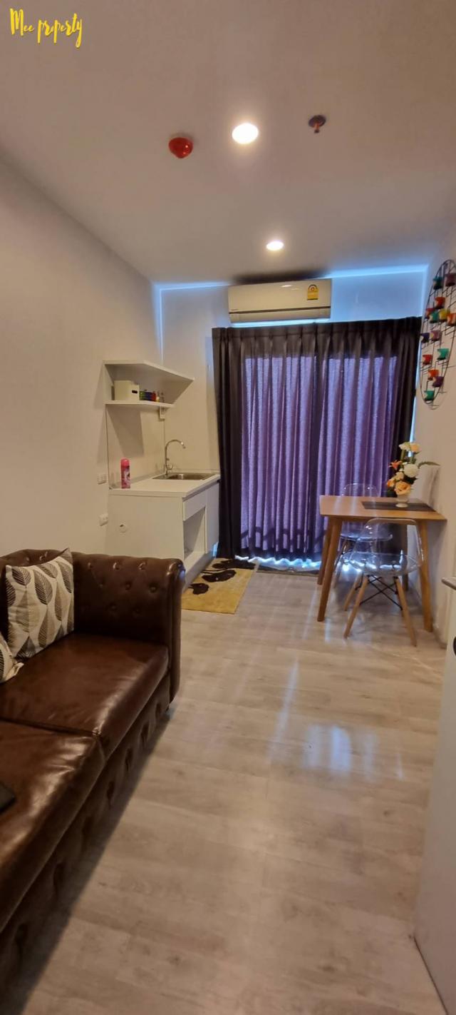 ��¤͹� �ҧ�˭蹹�����