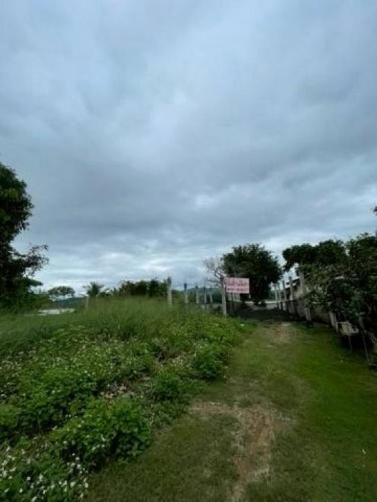 ���Թ������ ���