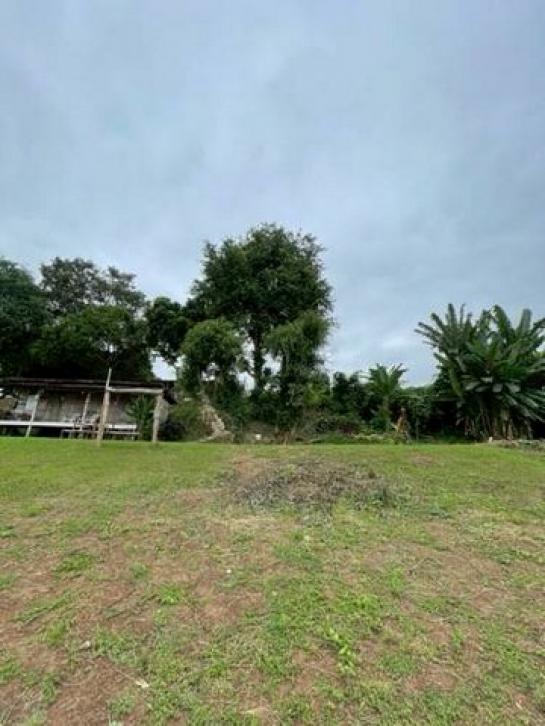 ���Թ����ç���¹ ���