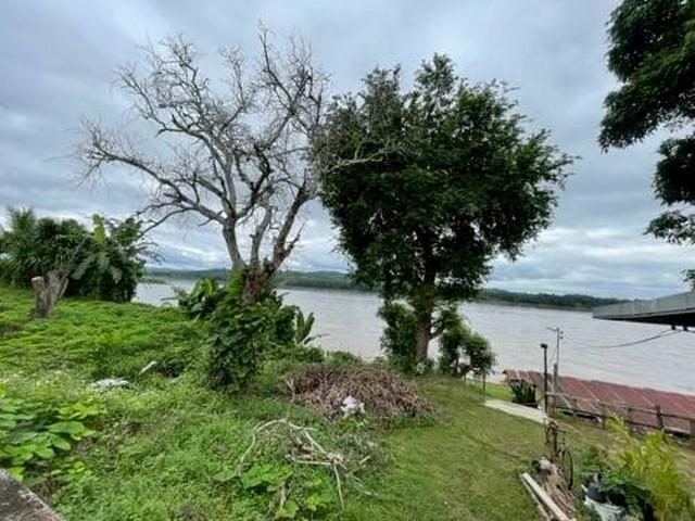 ���Թ������ ���