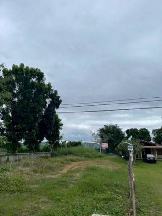 ���Թ�Դ��� ���