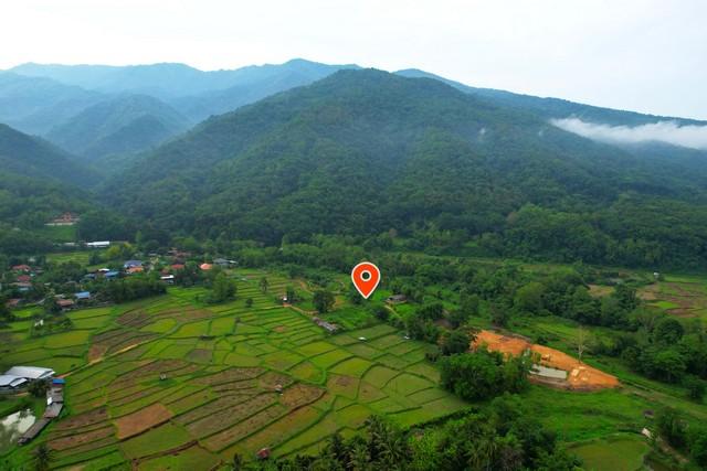 ���Թ ��ҹ