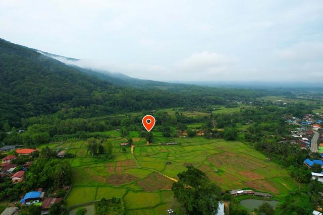 ��·��Թ ��ǹ�ҹ