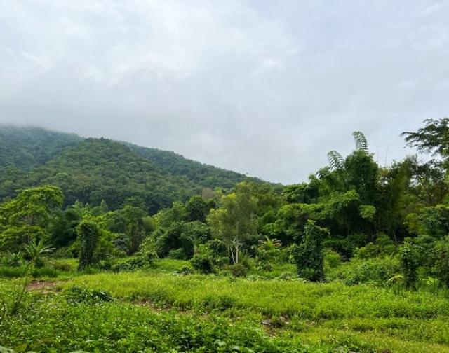 ��·��Թ ��ǹ�ҹ