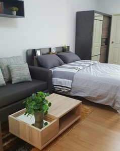 �͹����ͧ������� �������