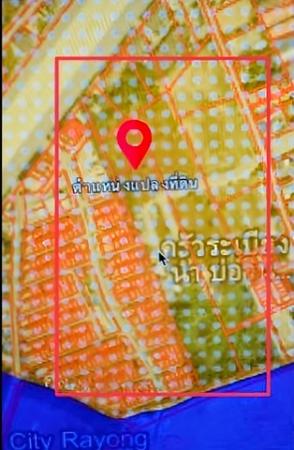 ���Թ 21 ���