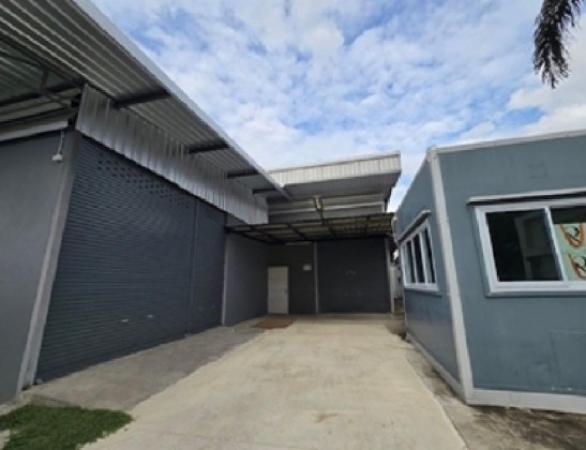 �ç�ҹ������ �͹���ͧ��ا෾