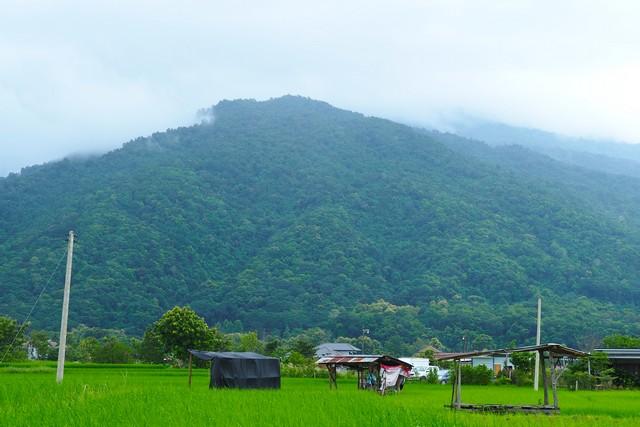 ���Թ ��ҹ