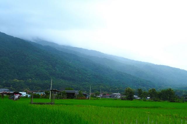 ��·��Թ ��ǹ�ҹ