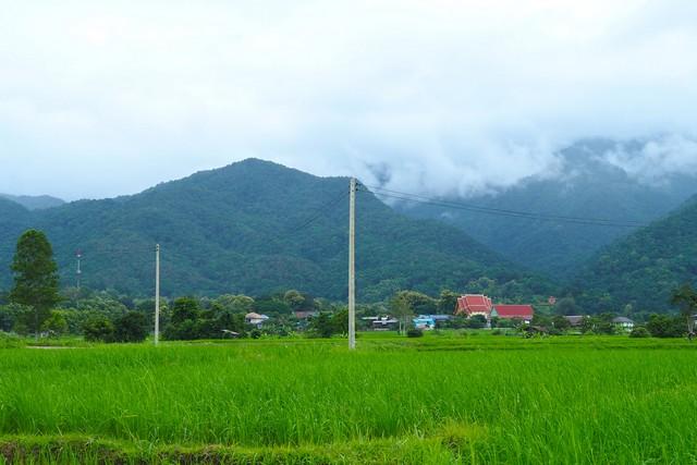 ��·��Թ ��ǹ�ҹ