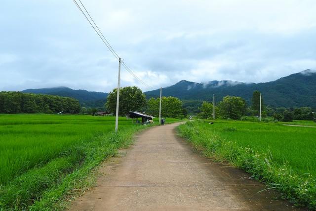 ��·��Թ ��ǹ�ҹ