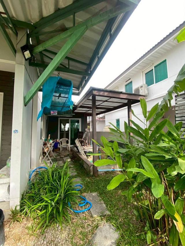 ��º�ҹ �ҧ�ع��¹��ا෾