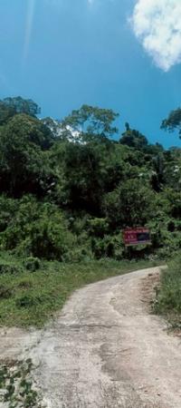 ��·��Թ �з�� ����