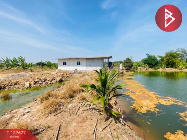 ���Թ �� ��� �Ҫ����