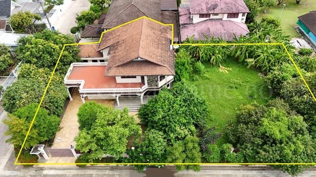 ��ҹ ����Ѳ��