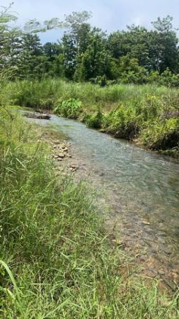 ���Թ ��ҹ