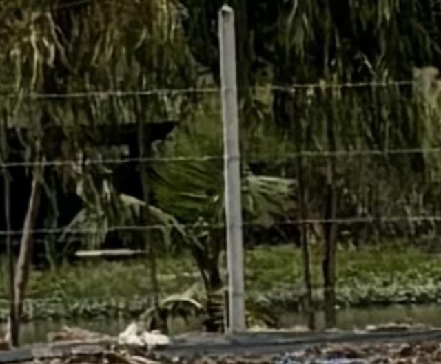 ���Թ 5 ���