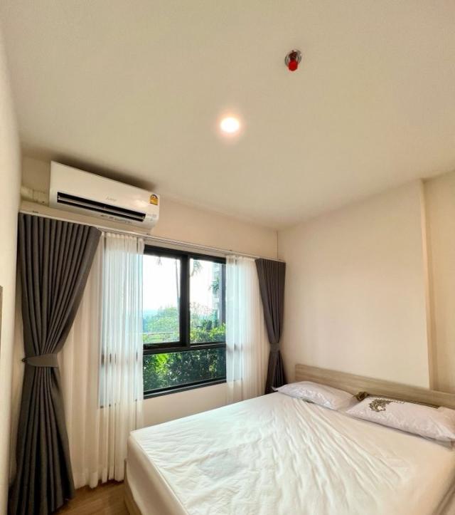 คอนโด35 29 คอนโด35 29