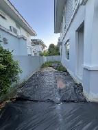 ��º�ҹ �ҧ����