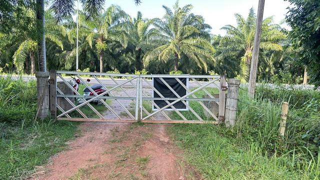 ���Թ ��й��