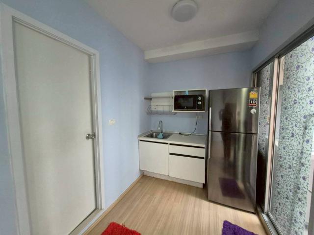 �͹������� �ҧ�˭蹹�����