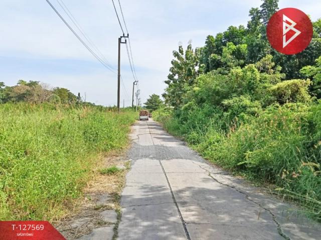 ��·��Թ ˹ͧ�͡��ا෾