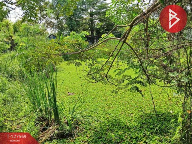 ��·��Թ ˹ͧ�͡��ا෾