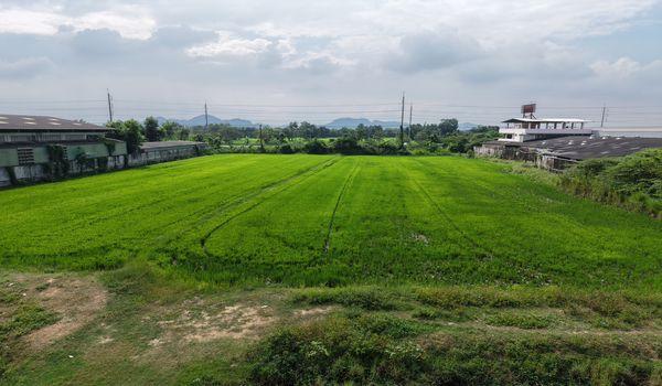 ���Թ �� ��� �Ҫ����