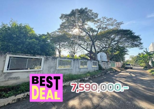 ที่ดิน ติดถนนคอนกรีต กรุงเทพ ที่ดิน ติดถนนคอนกรีต กรุงเทพ