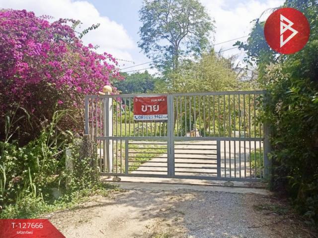 ���ͧ �� The Best Property Agent