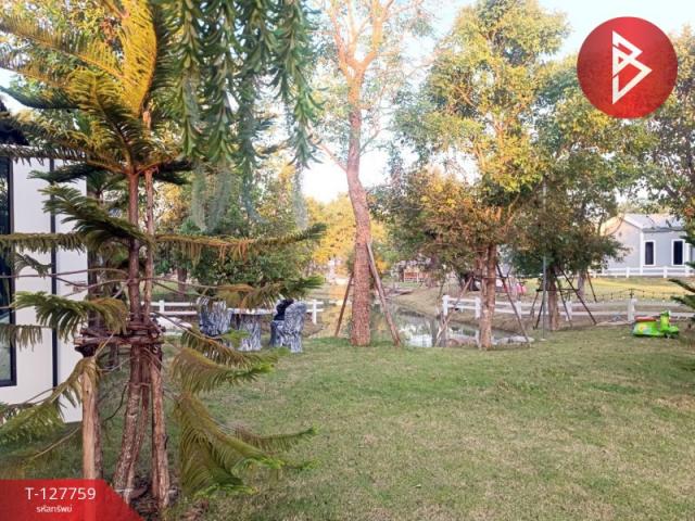 ��º�ҹ ���ͧ��û����û��