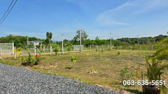 ��º�ҹ ��ҹ�ҹ�ù�¡