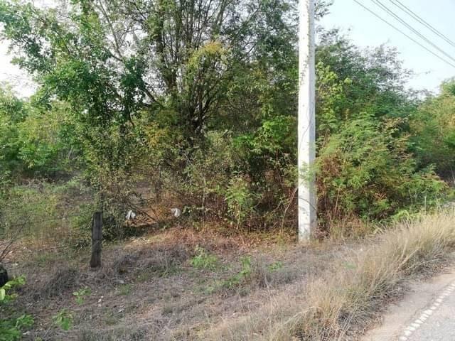 ��·��Թ ��ҹ�ҡ�ҡ