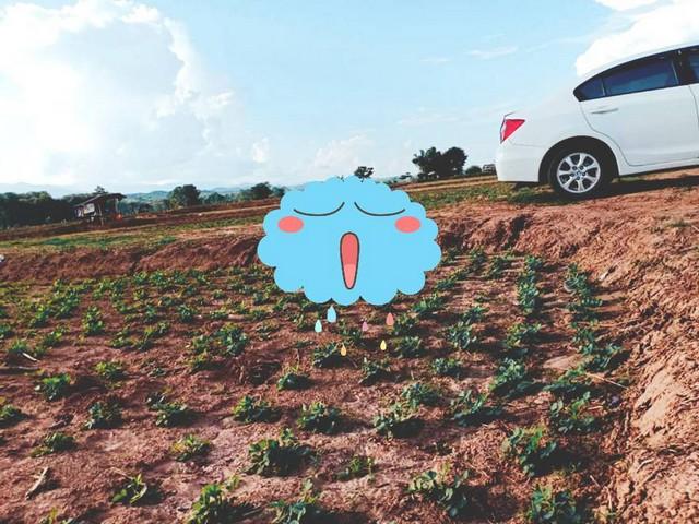 ��·��Թ ����ѧ�ҹ�ҹ